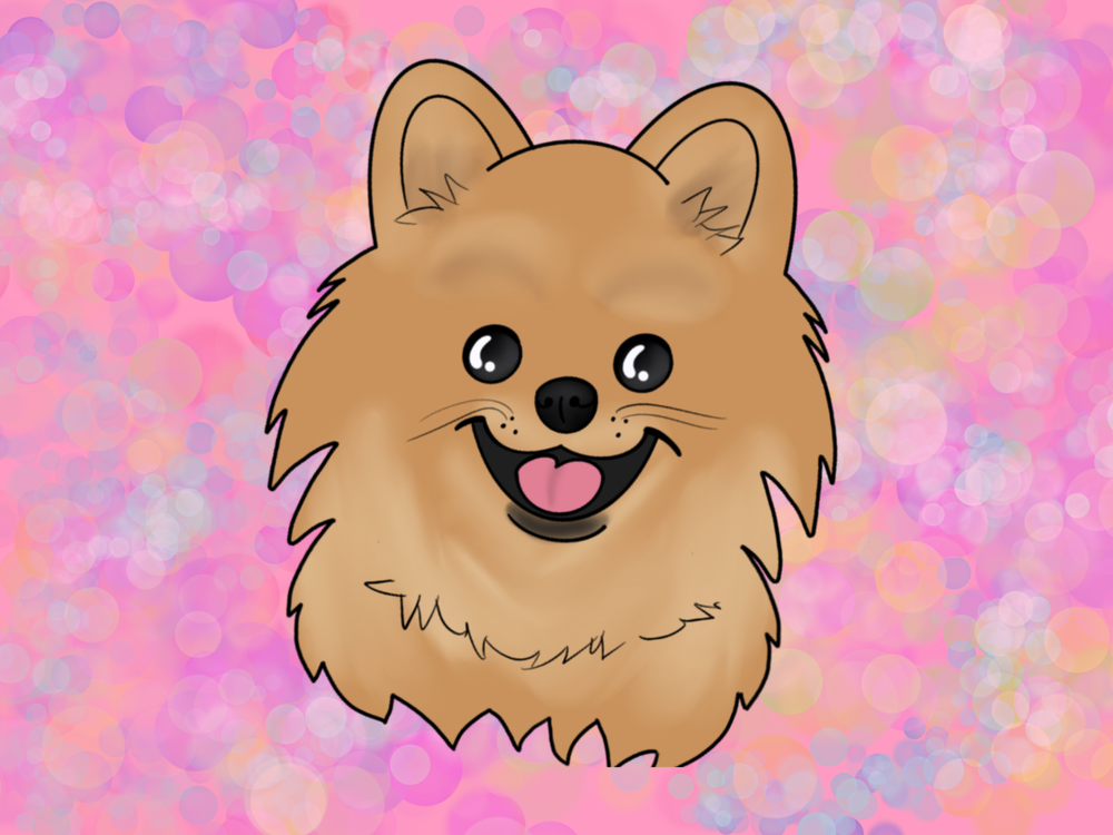 Pet portraits!!!
